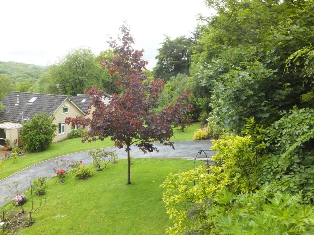 Shrubdown Bed & Breakfast Freshford Dış mekan fotoğraf