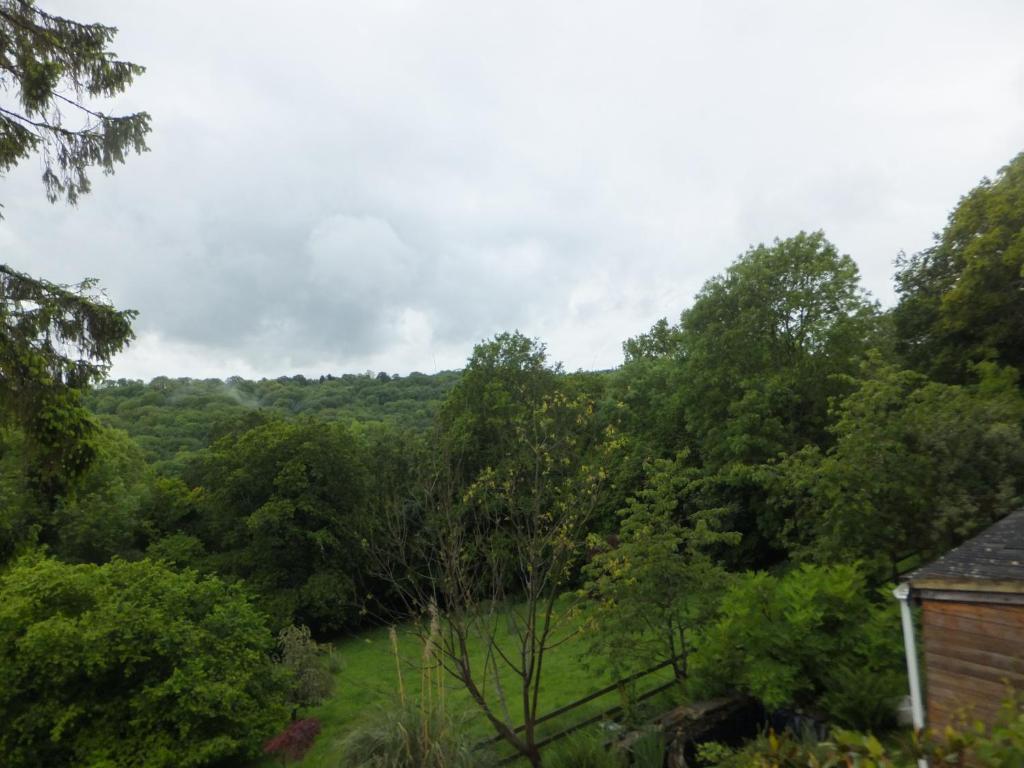 Shrubdown Bed & Breakfast Freshford Dış mekan fotoğraf